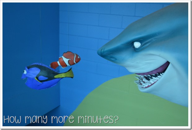 Townsville Aquarium | How Many More Minutes?