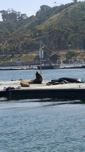 Tour Agency «San Diego SEAL Tours», reviews and photos, 500 Kettner Blvd, San Diego, CA 92101, USA