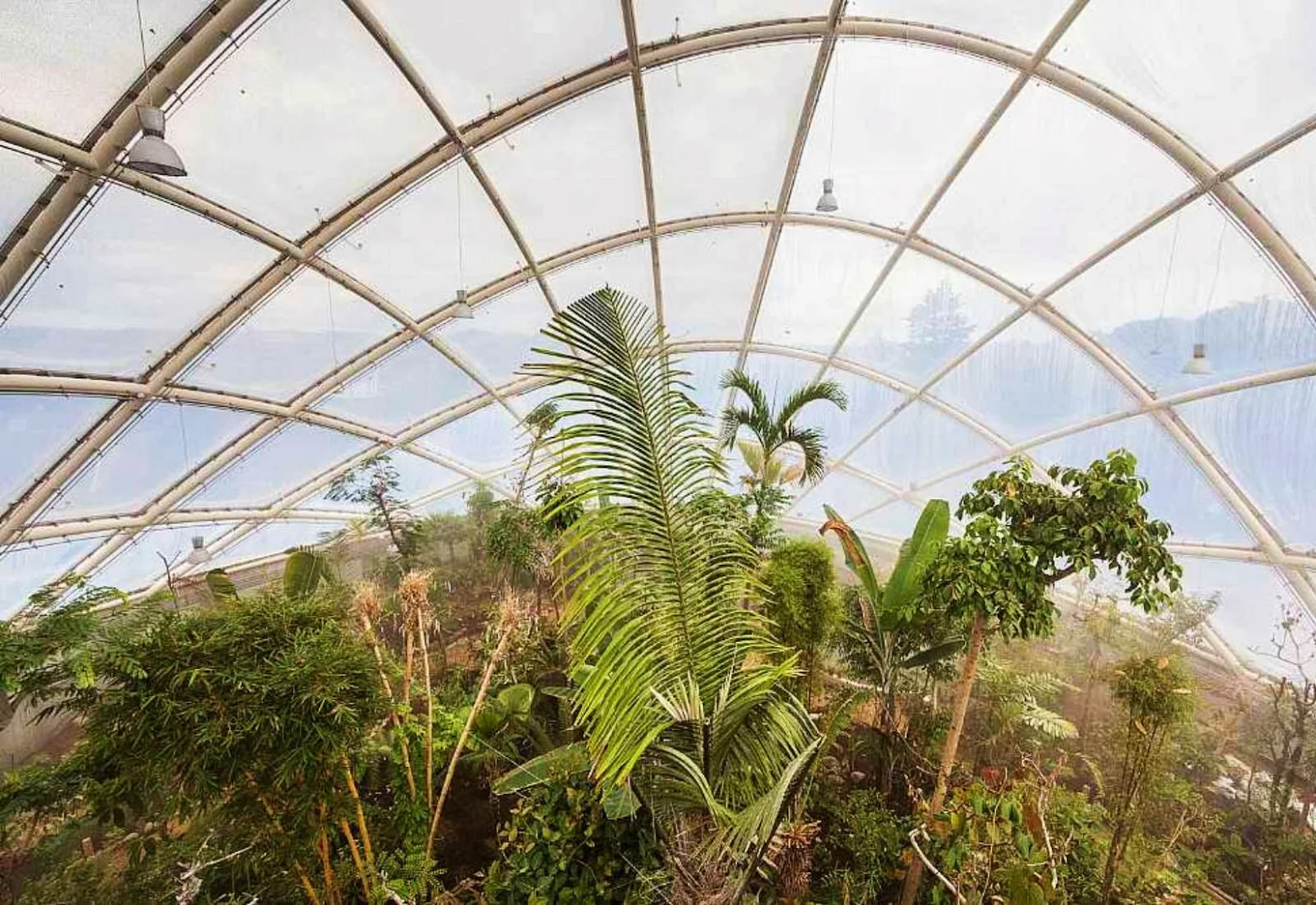 11-Greenhouse-in-the-Botanic-Garden-by-C.F.-Møller-Architects