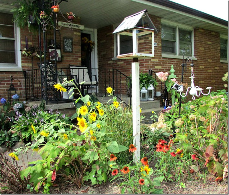 Fall Garden Flowers