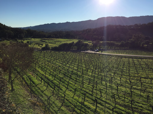 Winery «Arrowood Vineyards & Winery», reviews and photos, 14347 CA-12, Glen Ellen, CA 95442, USA