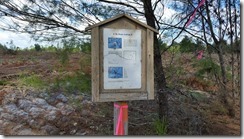 Old scrub-jay sign