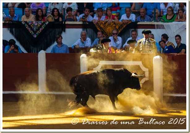 Toros1-9415