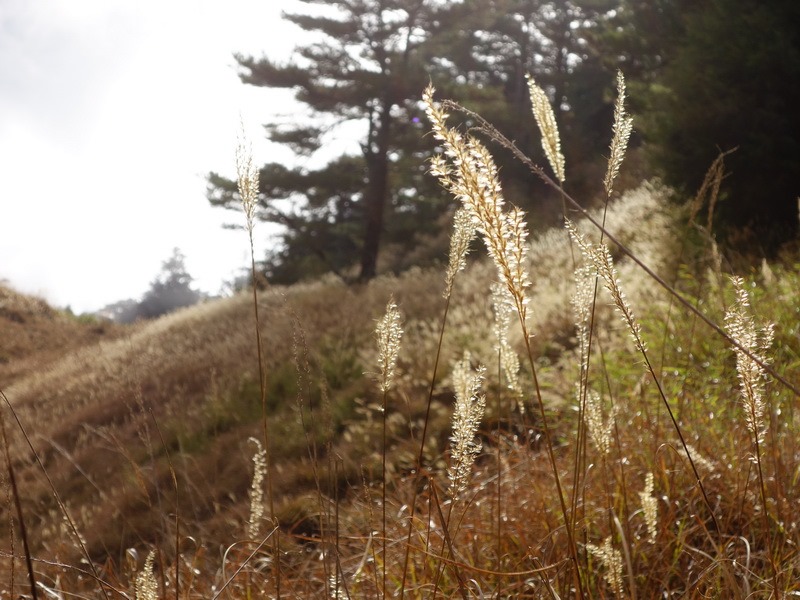 2013_1116 十分完美‧拾丸山_086