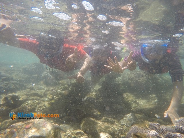 [Snorkeling%2520Pantai%2520Nglambor%2520Kisah%2520Foto%2520Blog02%255B2%255D.jpg]