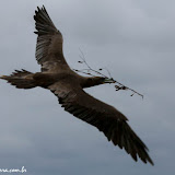 Rabida, Galápagos