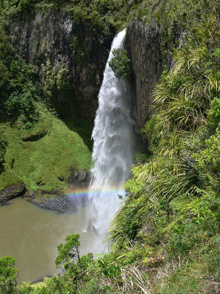 cabbage tree bridal veil falls