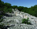 Wolf Rock, Catoctin Mountain Park, near Thurmont, Maryland.