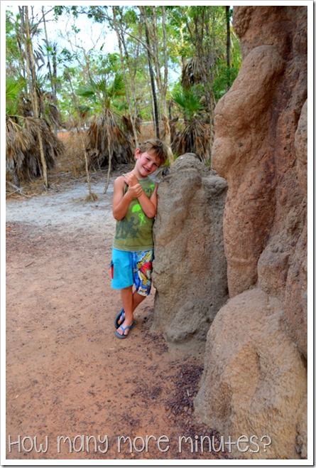 Magnetic Termite Mounds | How Many More Minutes?