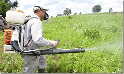 pesticidas