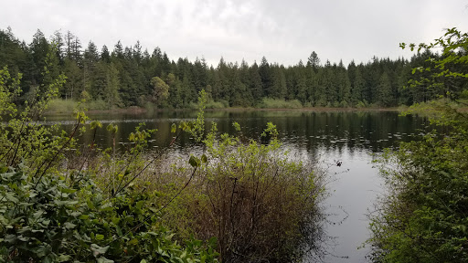 Nature Preserve «Gazzam Lake Nature Preserve», reviews and photos, 6105 NE Marshall Rd, Bainbridge Island, WA 98110, USA