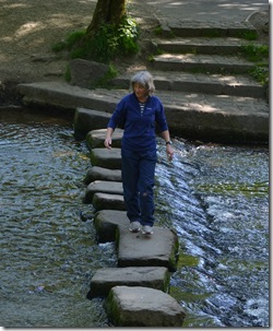 1a crossing stepping stones