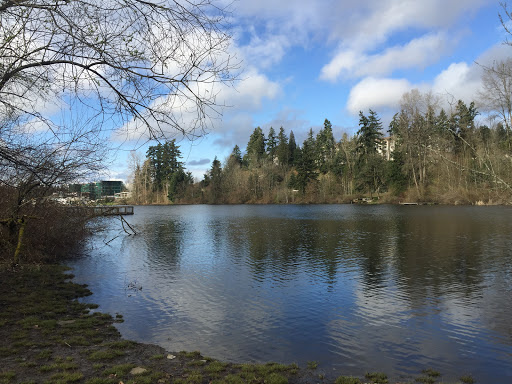 Park «Lake Boren Park», reviews and photos, 13058 SE 84th Way, Newcastle, WA 98056, USA