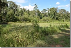 Old fish hatchery ponds-1