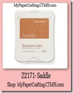 saddle-200