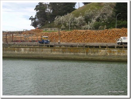 Look at all those logs waiting for export!