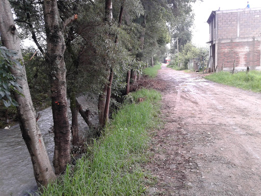 Estación de Servicios San Rodrigo, Carretera Yukudaa Kilometro 55, Arboleda, 69800 Tlaxco, Oax., México, Servicios de viajes | OAX