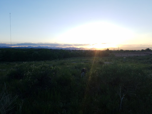 Golf Course «David A. Lorenz Regional Park Disc Golf Course», reviews and photos, 8422 South Colorado Boulevard, Highlands Ranch, CO 80126, USA