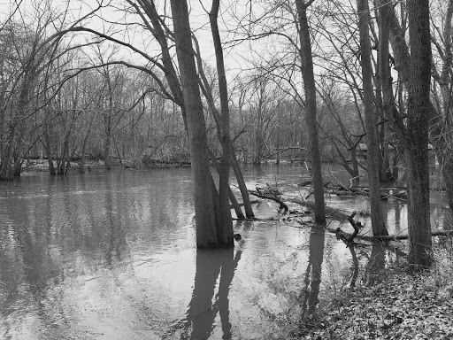 Nature Preserve «Ryerson Conservation Area», reviews and photos, 21950 N Riverwoods Rd, Deerfield, IL 60015, USA