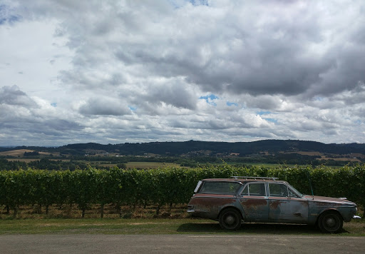 Winery «Patton Valley Vineyard», reviews and photos, 9449 SW Old Highway 47, Gaston, OR 97119, USA