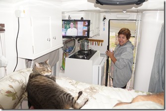 Um casal e um gato dentro de uma Camper - soluções criativas 3