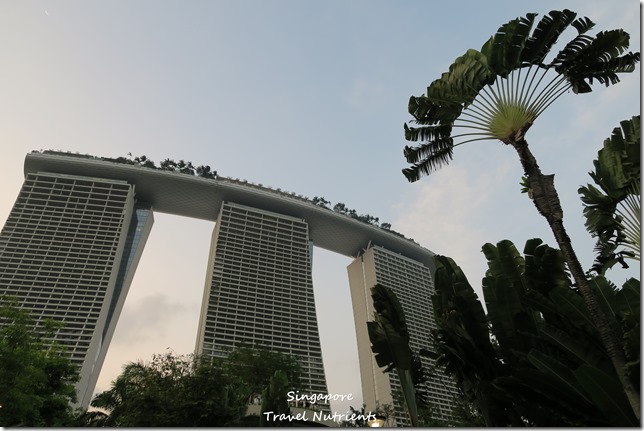 新加坡超級樹燈光秀 (5)
