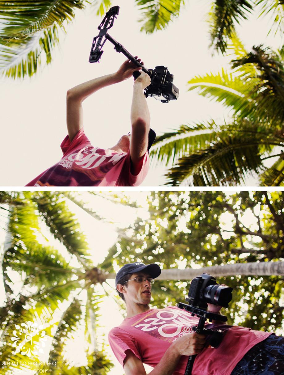 ways to film palm trees.