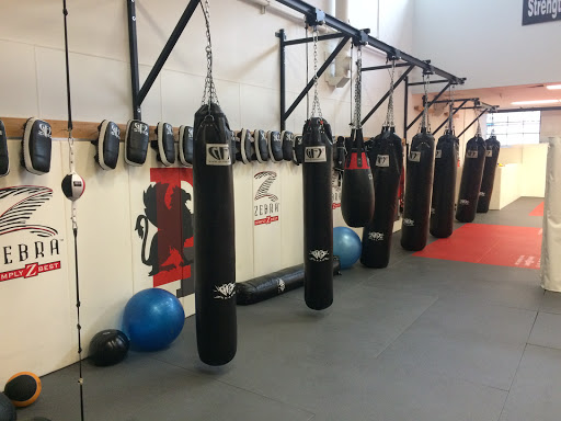 Physical Fitness Program «Performance Fitness & MMA», reviews and photos, 544 Cleveland Ave, Albany, CA 94710, USA