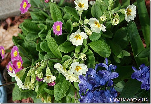 Spring Bouquet