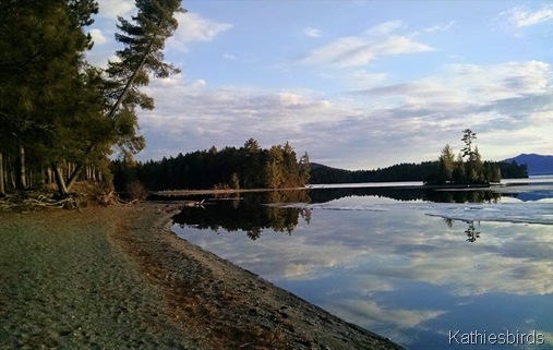 10. 5-2-15 the bay at Lily bay sp