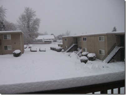 IMG_4818 Snow in Milwaukie, Oregon on December 22, 2008