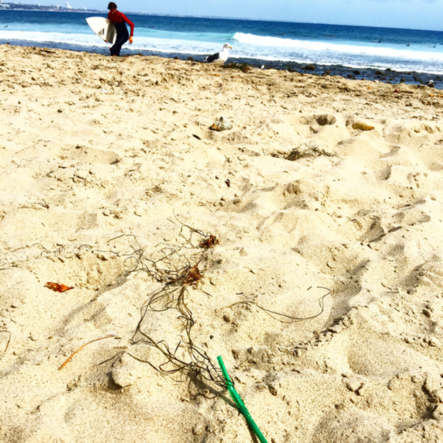 A 'green' straw from Starbucks is discarded on Topanga State Beach, California. Photo: Lisa Kaas Boyle