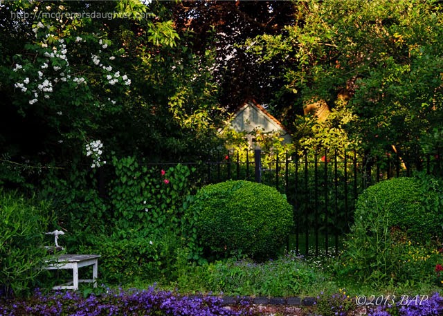 Photo of the Week: Riverside garden, Salisbury
