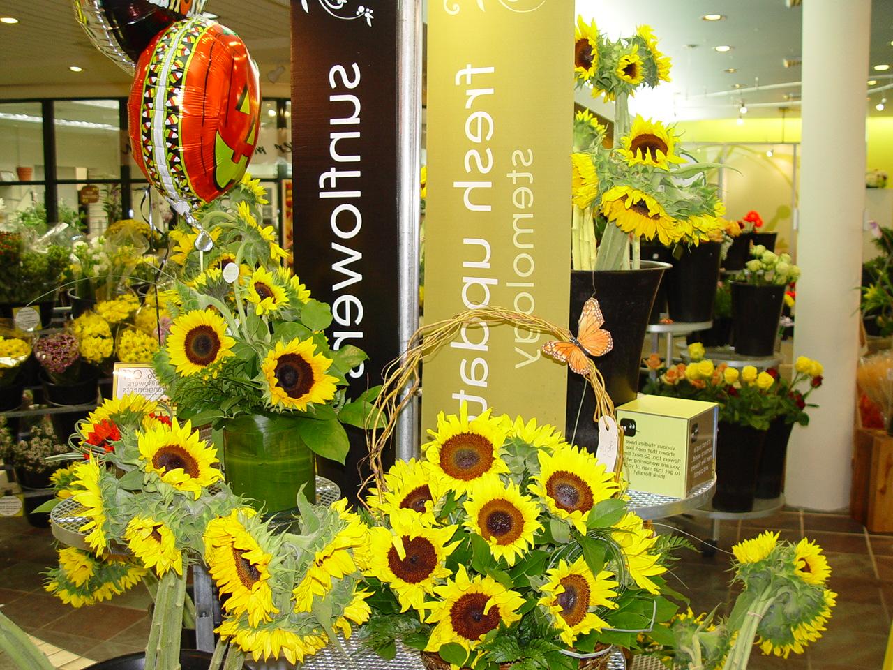 Celebrating with Sunflowers at