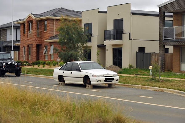 white commodore