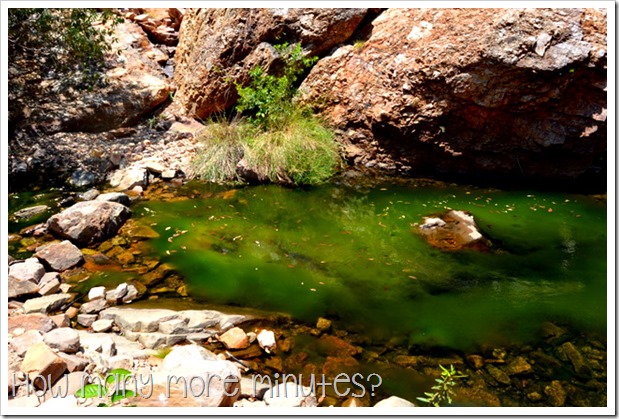 Emma Gorge, Best Waterhole Ever | How Many More Minutes?