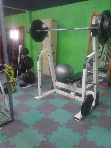 Olimpo Sport GYM, 37900, Calle Morelos 130, Zona Centro, San Luis de la Paz, Gto., México, Programa de salud y bienestar | GTO