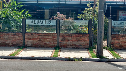 AQUARIUS, Av. Brasil, 1273 - Jardim Floridiana, Rio Claro - SP, 13505-600, Brasil, Loja_de_Aqurio, estado Rio de Janeiro