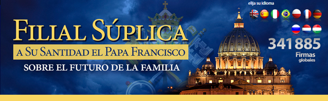 screenshot-filialsuplicapapa.org 2015-07-17 14-14-59