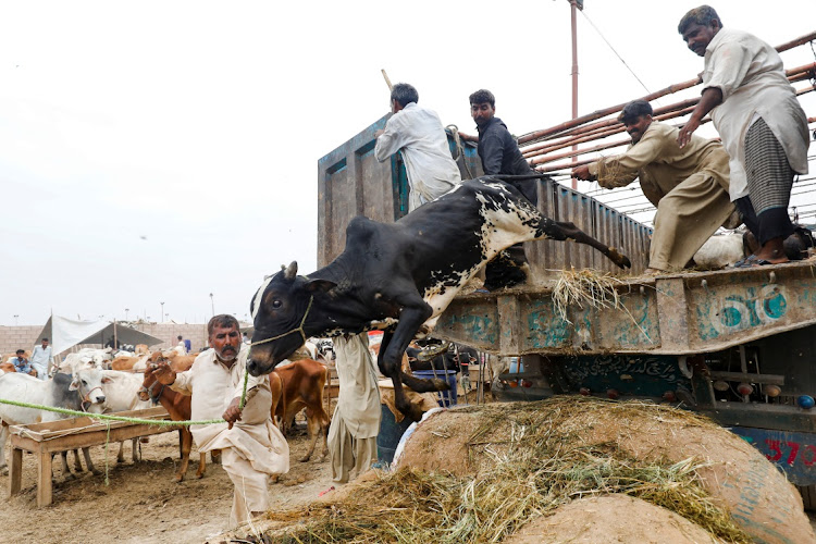 Workers offload sacrificial animals from a truck at a cattle market in Karachi, Pakistan, on June 24 2023. Picture: AKHTAR SOOMRO/REUTERS