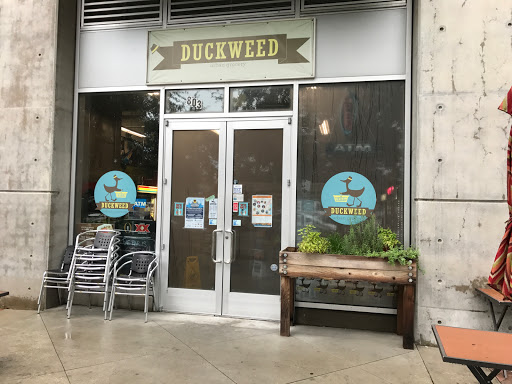 Grocery Store «Duckweed Urban Grocery», reviews and photos, 803 N Tampa St, Tampa, FL 33602, USA