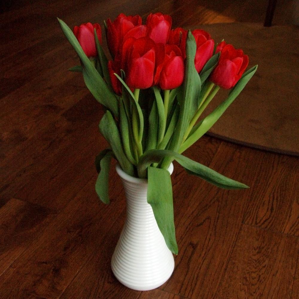 bouquet of red tulips.