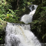 Hawaii Tropical Botanical Garden -  Big Island, Havaí, EUA