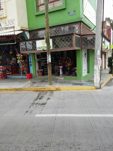 FLORERIAS EN MORELIA, Aranzaflor, Av. Periodismo José Tocaven Lavín 1605, Rector Hidalgo, 58190 Morelia, Mich., México, Tienda de regalos | Morelia