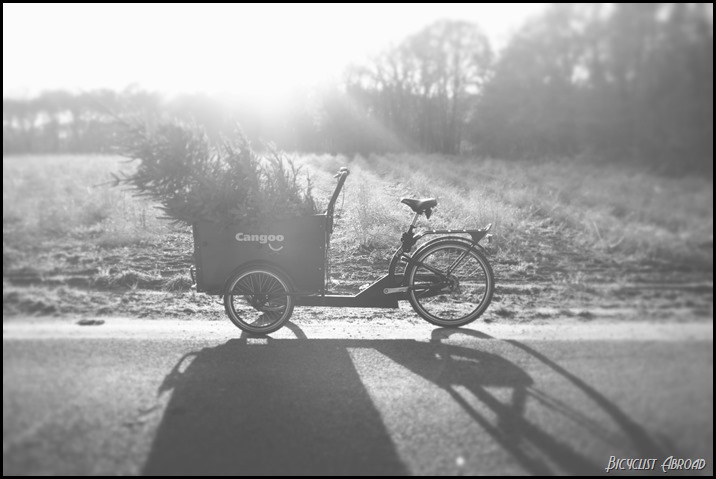 tree in bakfiets 2