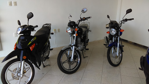 Suzuki, Calle 2 Norte 498, Centro, 77600 San Miguel de Cozumel, Q.R., México, Concesionario de motocicletas | QROO
