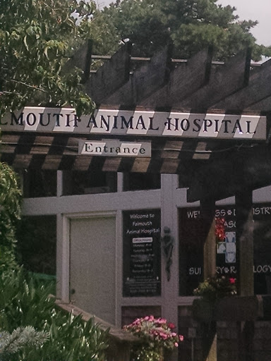 Veterinarian «Falmouth Animal Hospital», reviews and photos