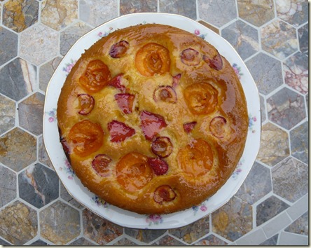 apricot, orange and ginger cake3