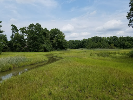 Golf Club «Riverfront Golf Club», reviews and photos, 5200 River Club Dr, Suffolk, VA 23435, USA