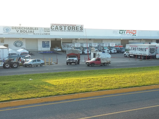 Paquetería Castores, Carretera Federal Villahermosa - Frontera Km. 5 Bodega 6, Lagunas, 86019 Villahermosa, Tab., México, Servicio de transporte | Villahermosa
